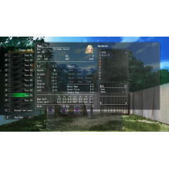 Wizardry: The Five Ordeals