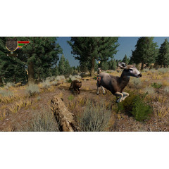 WolfQuest: Anniversary Edition