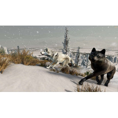 WolfQuest: Anniversary Edition