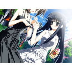 Wonderful Everyday Down the Rabbit-Hole