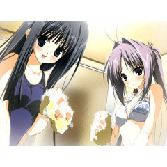 Wonderful Everyday Down the Rabbit-Hole