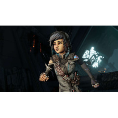 Borderlands 3: Director's Cut