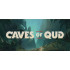 Caves of Qud