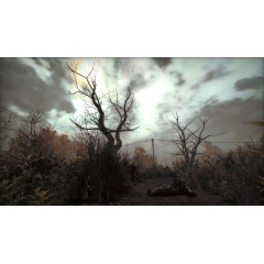 Dark Skies: The Nemansk Incident