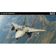 DCS: F-14A/B Tomcat