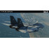 DCS: F-14A/B Tomcat