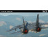 DCS: F-14A/B Tomcat