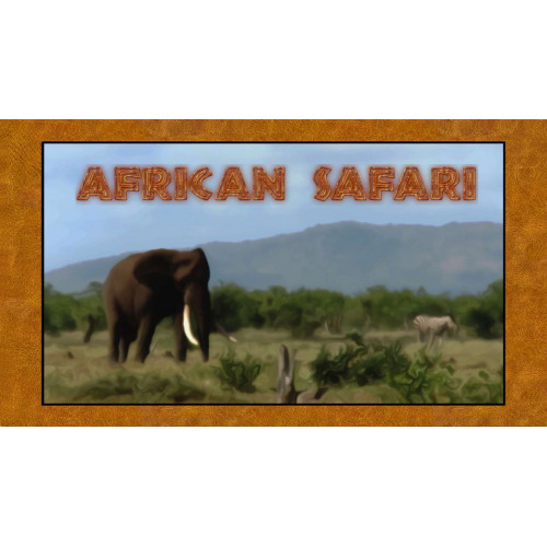 African Safari