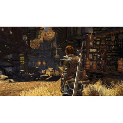 Divinity II: Developer's Cut