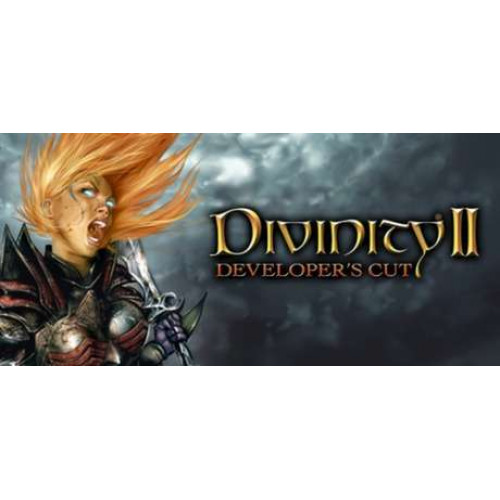 Divinity II: Developer's Cut