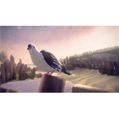 11-11 Memories Retold