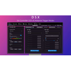 DSX