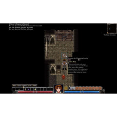 Dungeons of Dredmor