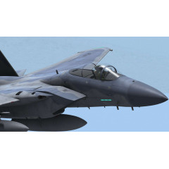 F-15C for DCS World
