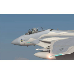 F-15C for DCS World