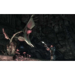 Fallout New Vegas: Honest Hearts