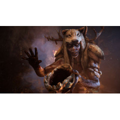 Far Cry® Primal