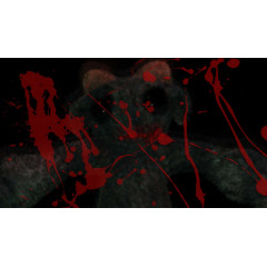 123 Slaughter Me Street