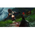 Guild Wars 2: Heart of Thorns™ & Guild Wars 2: Path of Fire™ Expansions