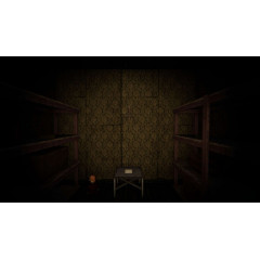 Haunted Investigation