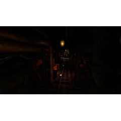 Amnesia: A Machine for Pigs