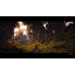 Horizon Zero Dawn™ Complete Edition