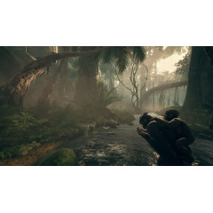 Ancestors: The Humankind Odyssey