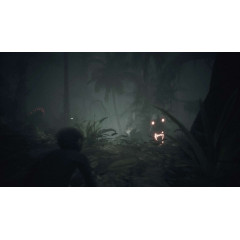 Ancestors: The Humankind Odyssey