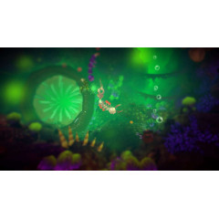 Into the Belly of the Beast