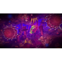 Into the Belly of the Beast