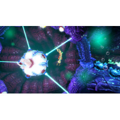 Into the Belly of the Beast