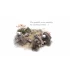 Paperbark