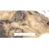 Paperbark