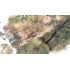 Paperbark