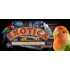Exotica: Petshop Simulator