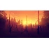 Firewatch
